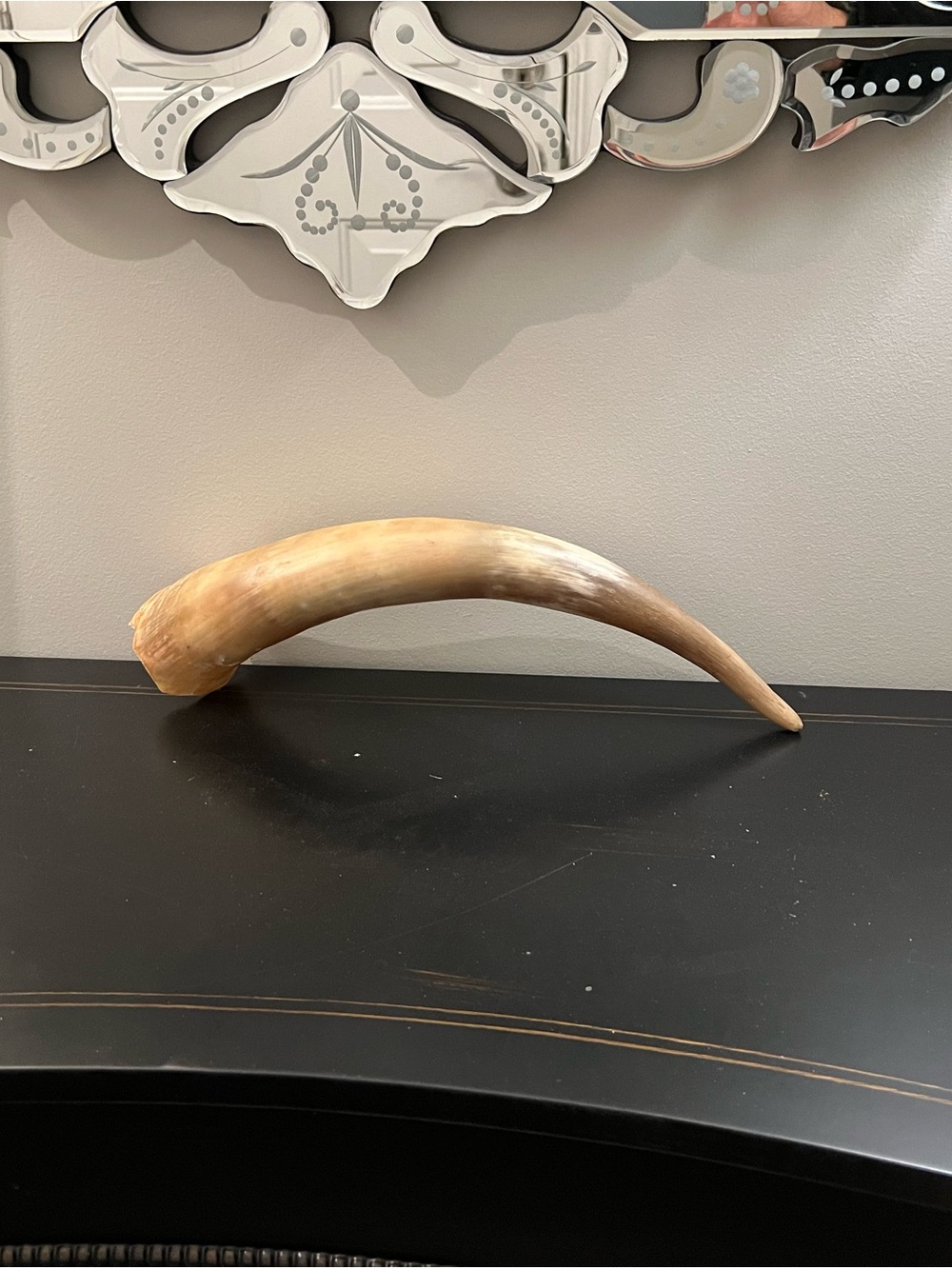 Natural Decorative Horn Accent — Cream Beige